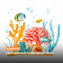 Конкур «Загадочный подводный мир». Конкур «Загадочный подводный мир».